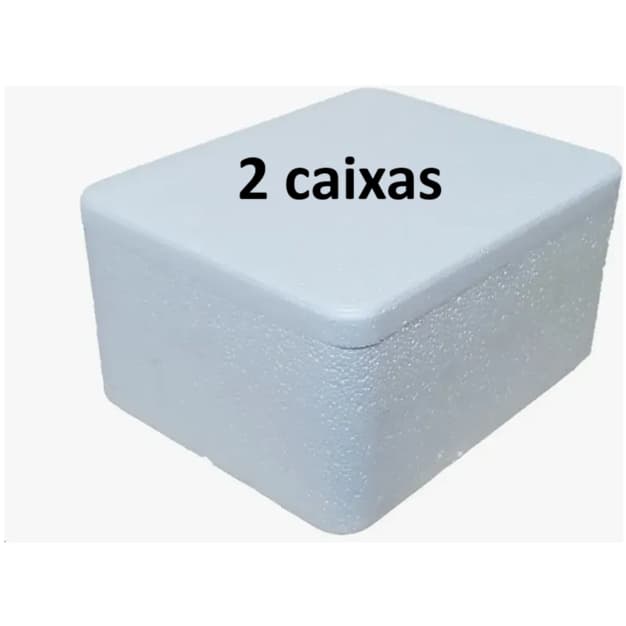2 caixas Térmica de isopor 250ml.