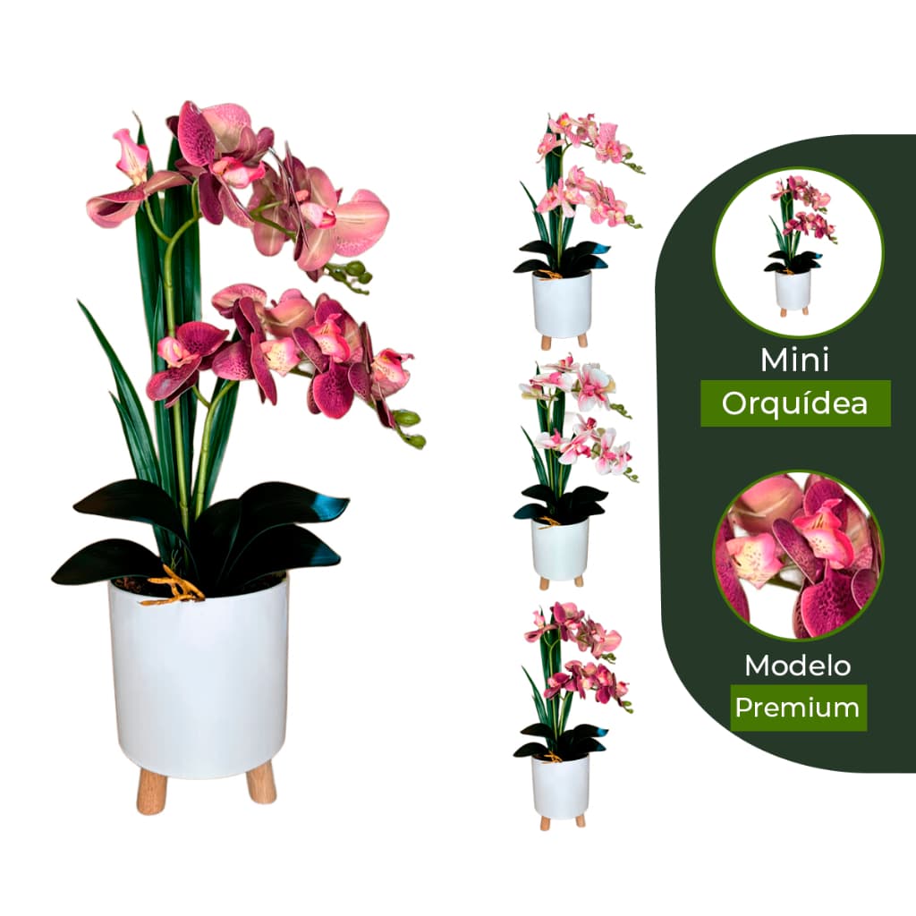 Arranjo Completo de Mini Orquidea com Vaso e Musgo Natural