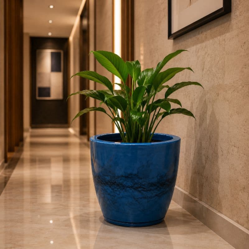 Vaso Grande Bojo Liso Nº 2 Marmorizado com Prato Coletor – Resistente, Impermeável e Decorativo Polietileno Premium
