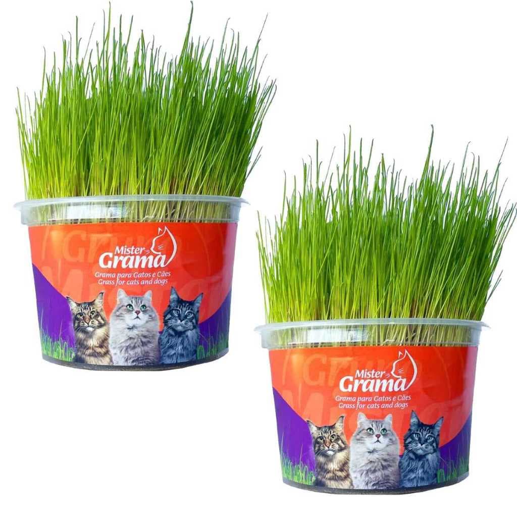 Kit 2 Graminhas Mister Para Gatos Digestão Saúde intestinal