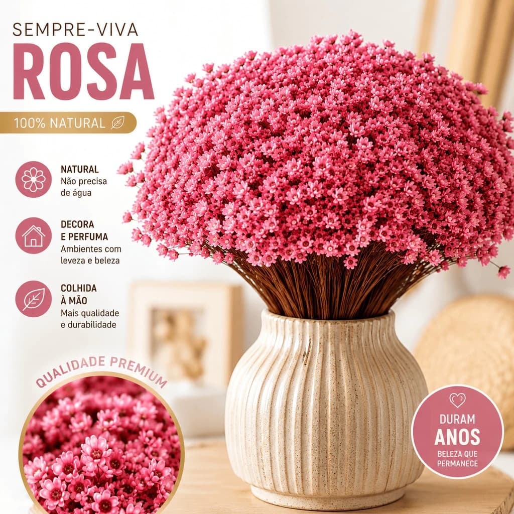 Kit Flores Sempre Viva Flores Secas Naturais Atacado Decoração Casamento Festa Pronta Entrega