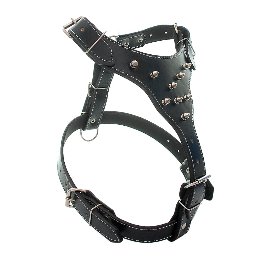 Peitoral Gladiador De Couro Pitbull Rottweiler Spikes SEM Guia