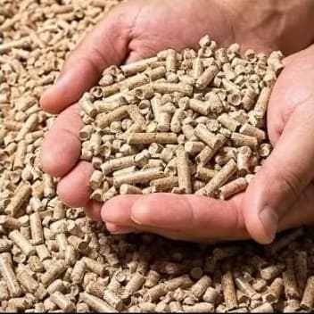 Granulado Higiênico Madeira Gatos 1,8kg 100% Natural Biodegradável Elimina Odores