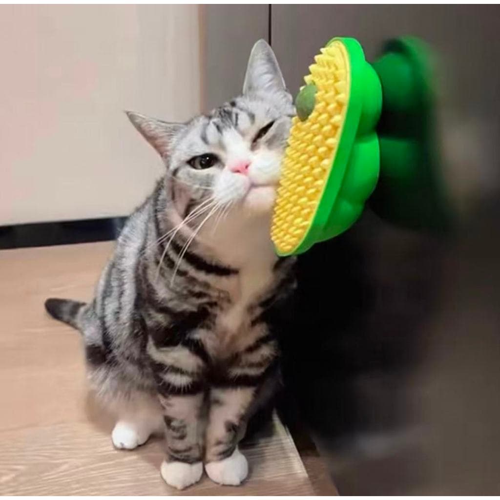 Escova para Gato com Catnip 360° – Escova Massageadora de Parede Removedor de Pelos