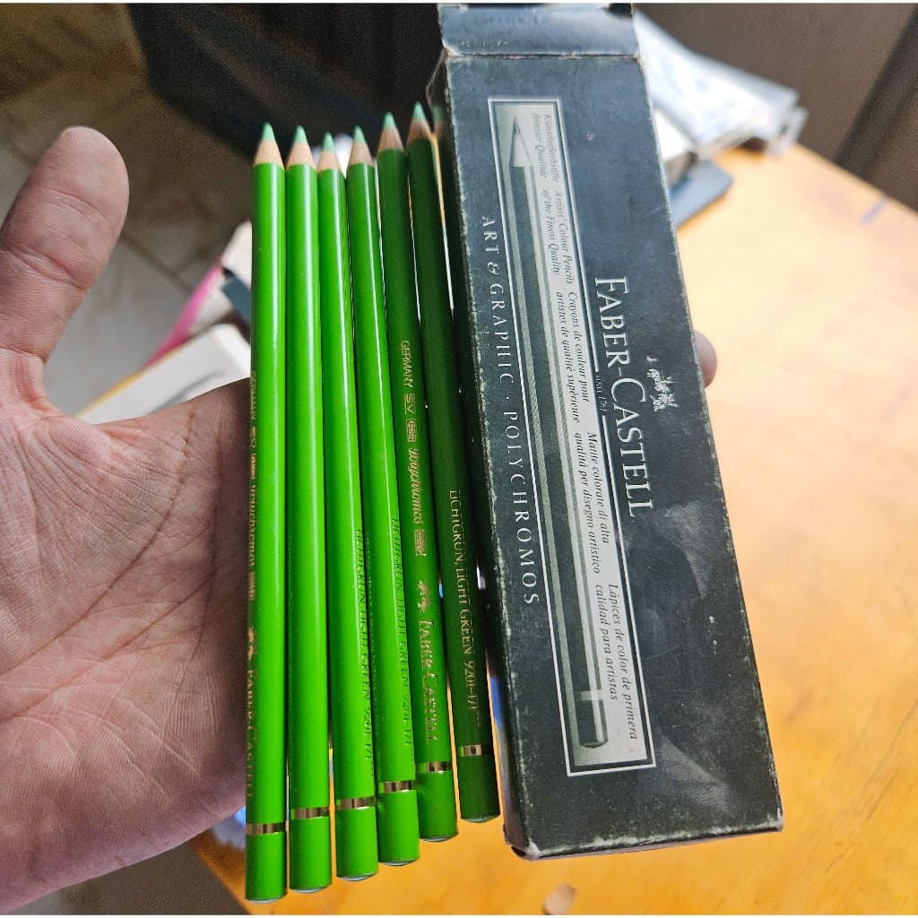 6 Lápis Polychromos Faber-Castell Verde Claro 171 (Novo/Vintage)