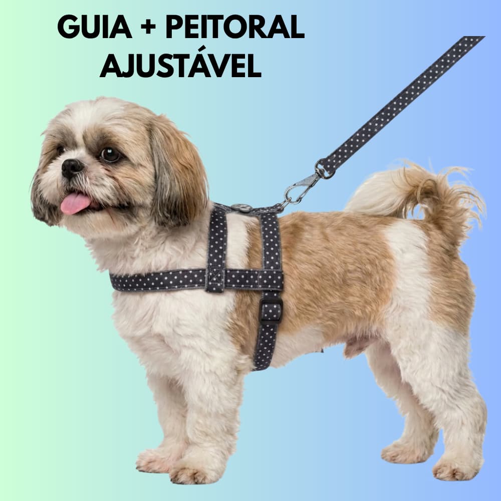 Peitoral Ajustável para Cachorro Pequeno com Guia de 1,20mt