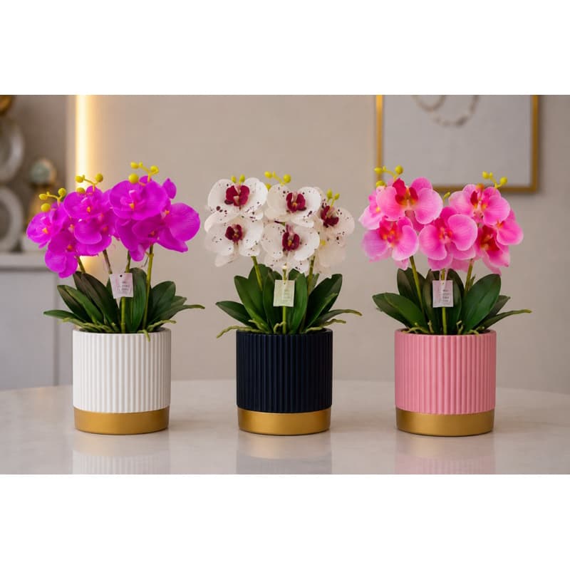 Arranjo de orquidea: Sendo 1 Vaso + 1 Haste de orquidea