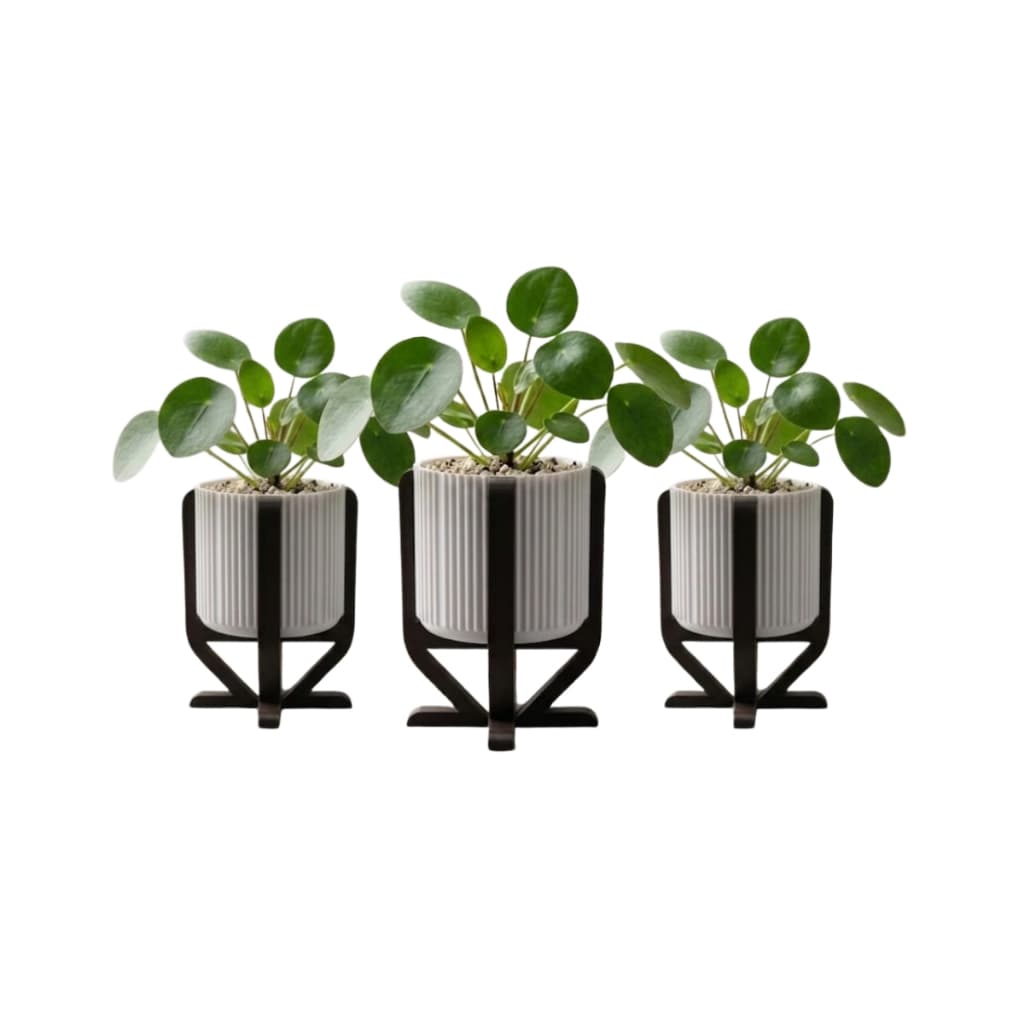 Kit 3 Vasos Decorativos Para Suculentas E Flores