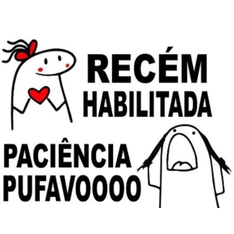 Adesivo Recém Habilitada 20x10 cm