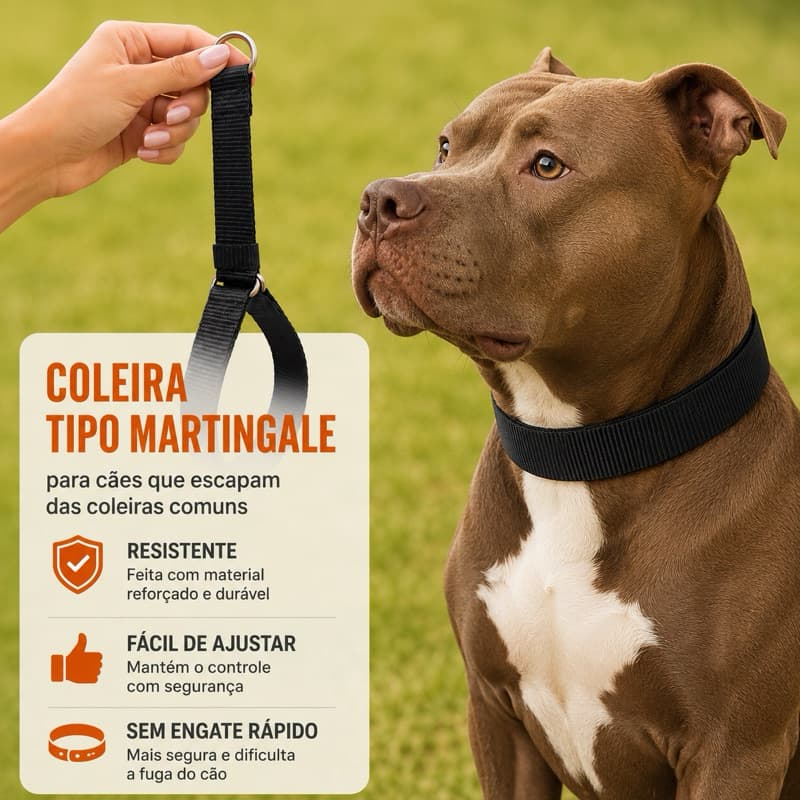 Coleira Martingale para Cães 3 cm