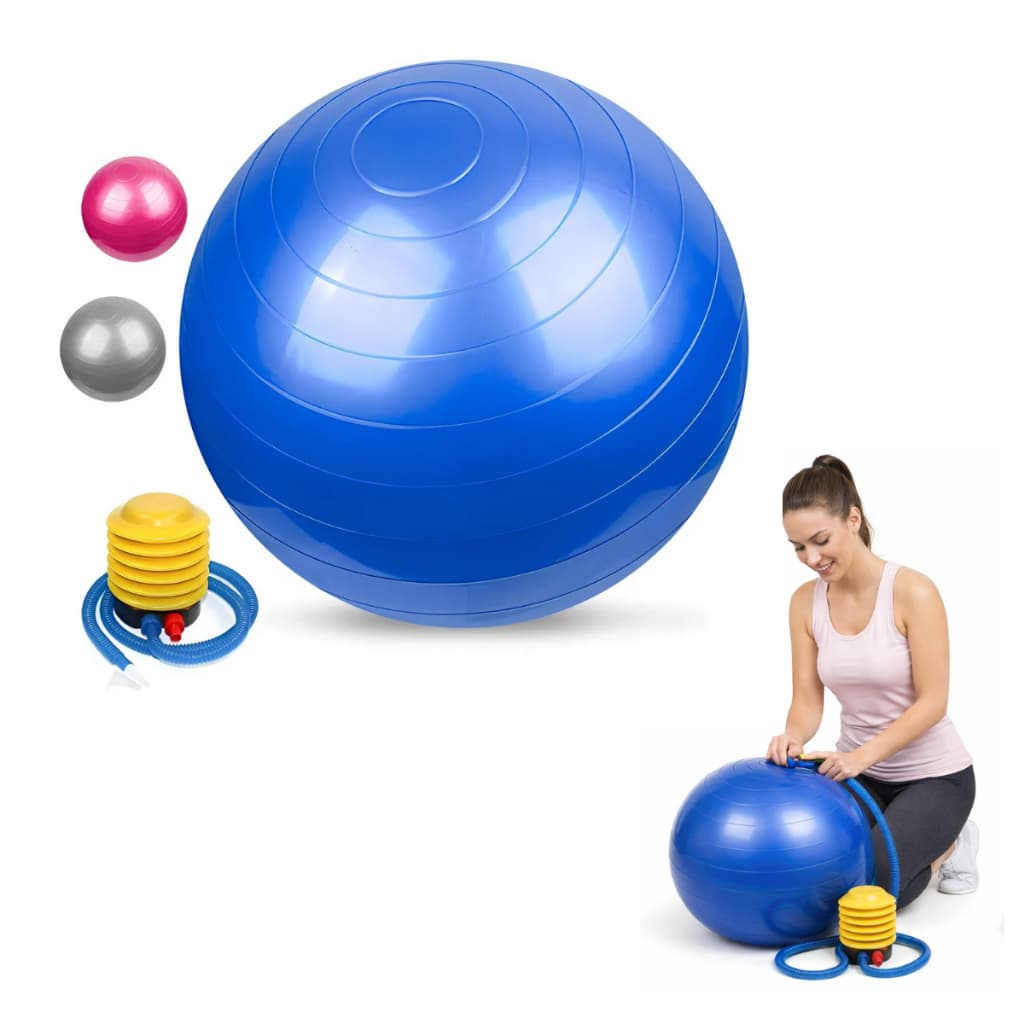 Bola Suíça 65cm Yoga E Pilates Exercícios Academia Ginastica Acompanha Bomba encher