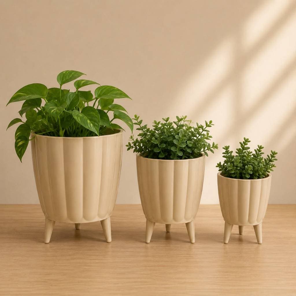 Kit 3 mini Vasos para Planta Estilo Moranga Cachepot com Pezinho