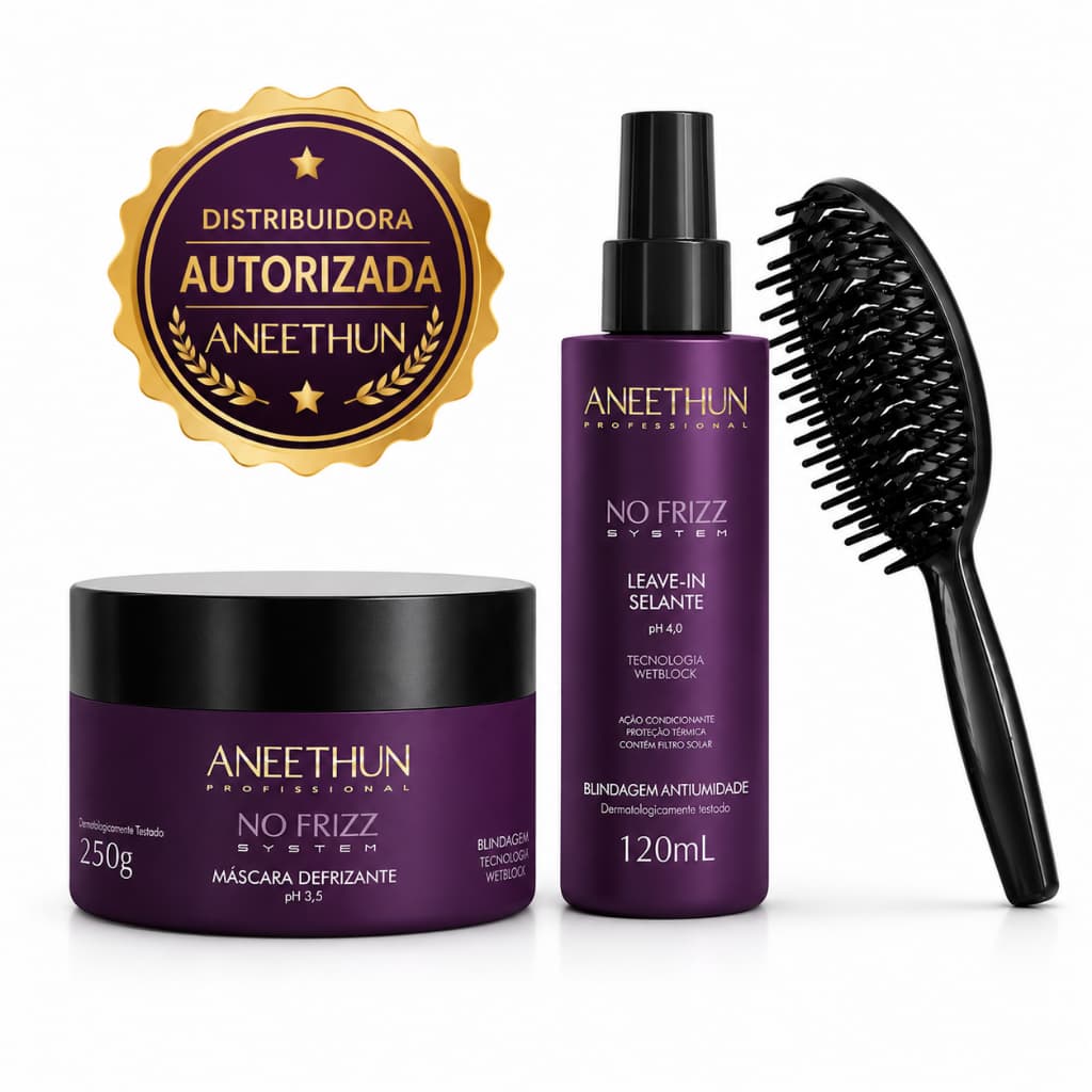 Kit Aneethun No Frizz System -  Máscara Defrizante 250g + Leave-in 120ml + Brinde