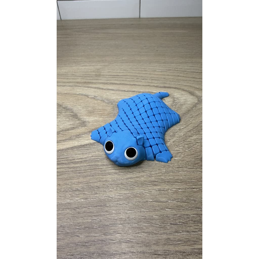 Gatinho Sensorial