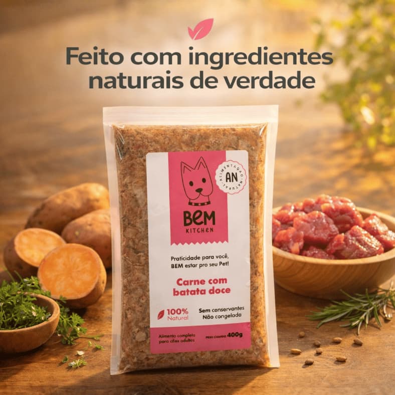 Ração Natural Para Cachorro Carne com Batata Doce 400g Sem Conservantes Alimentação Saudável Comida Natural Pet