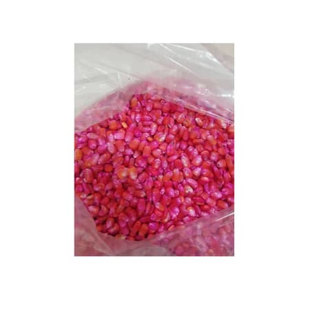 Semente Milho de Planta 1kg Resistente a Pragas