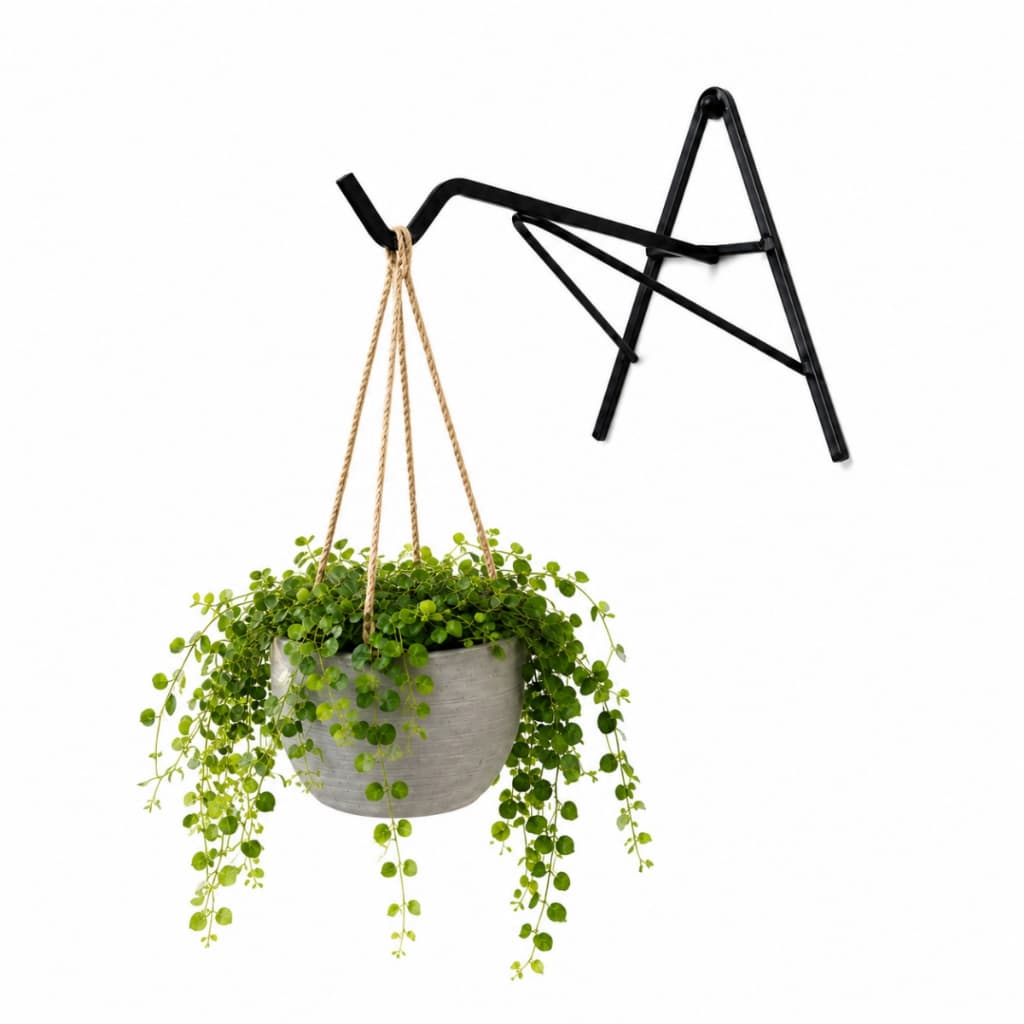 Kit 5 Suportes de Parede para Vasos Suspensos em Aço Preto para Plantas e Jardim Vertical