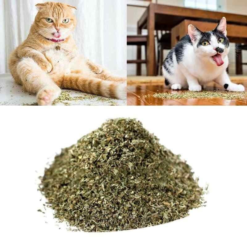 Erva dos Gatos/Catnip (Nepeta cataria) - 5 ou 25 gramas