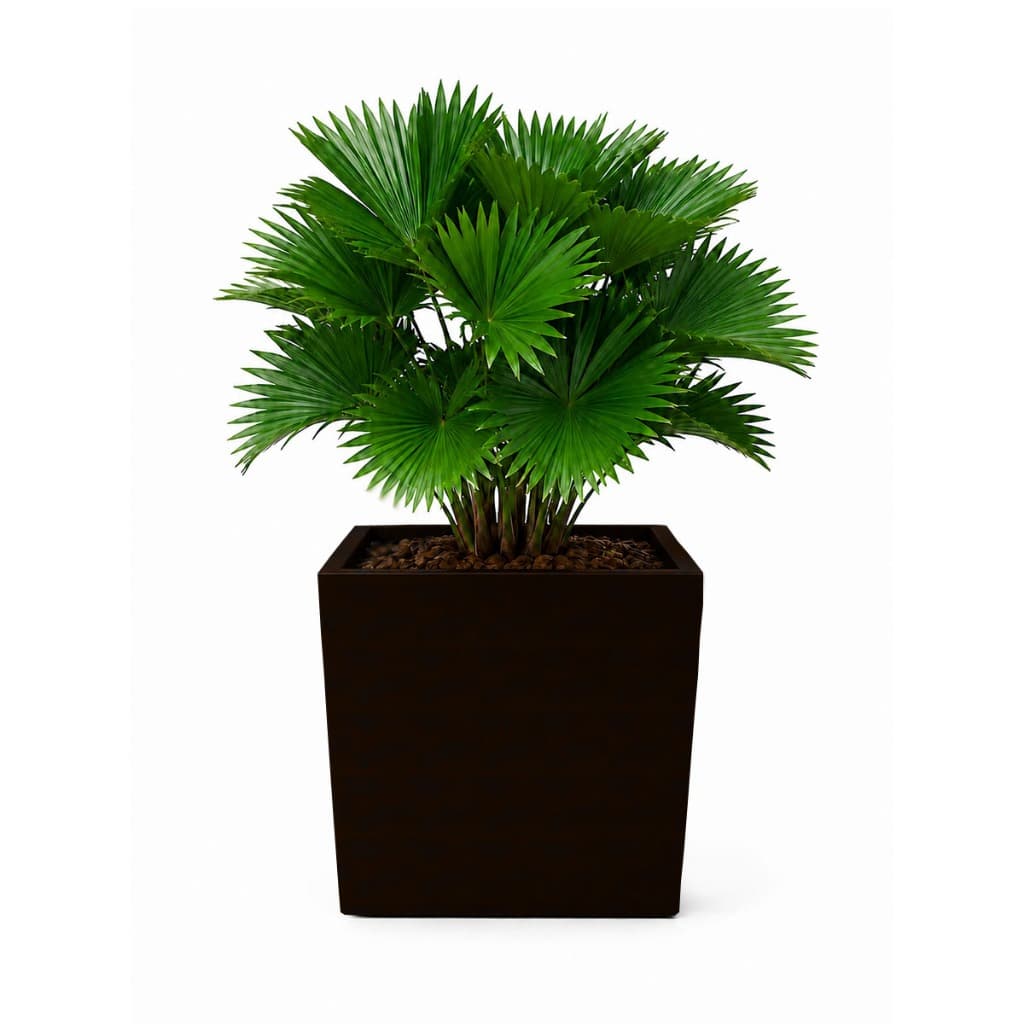 Vaso Planta 50x50 Quadrado Polietileno