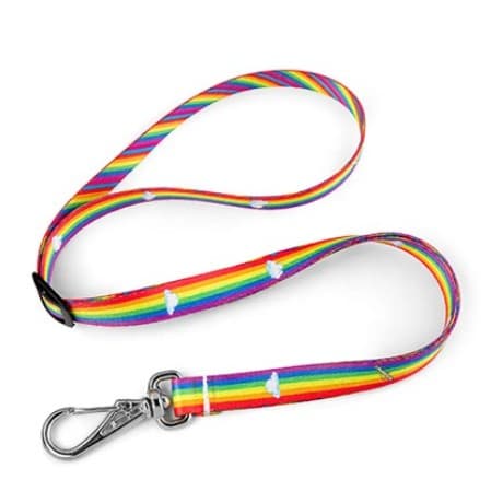Guia de Fita 15mm SpacePET Para Banho e Tosa  - ARCO IRIS