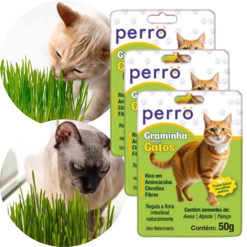 Kit 5 Graminha Grama Para Gato Catnip Perro Para Gatos 50g Erva de Gato Semente de Aveia Alpiste Painço