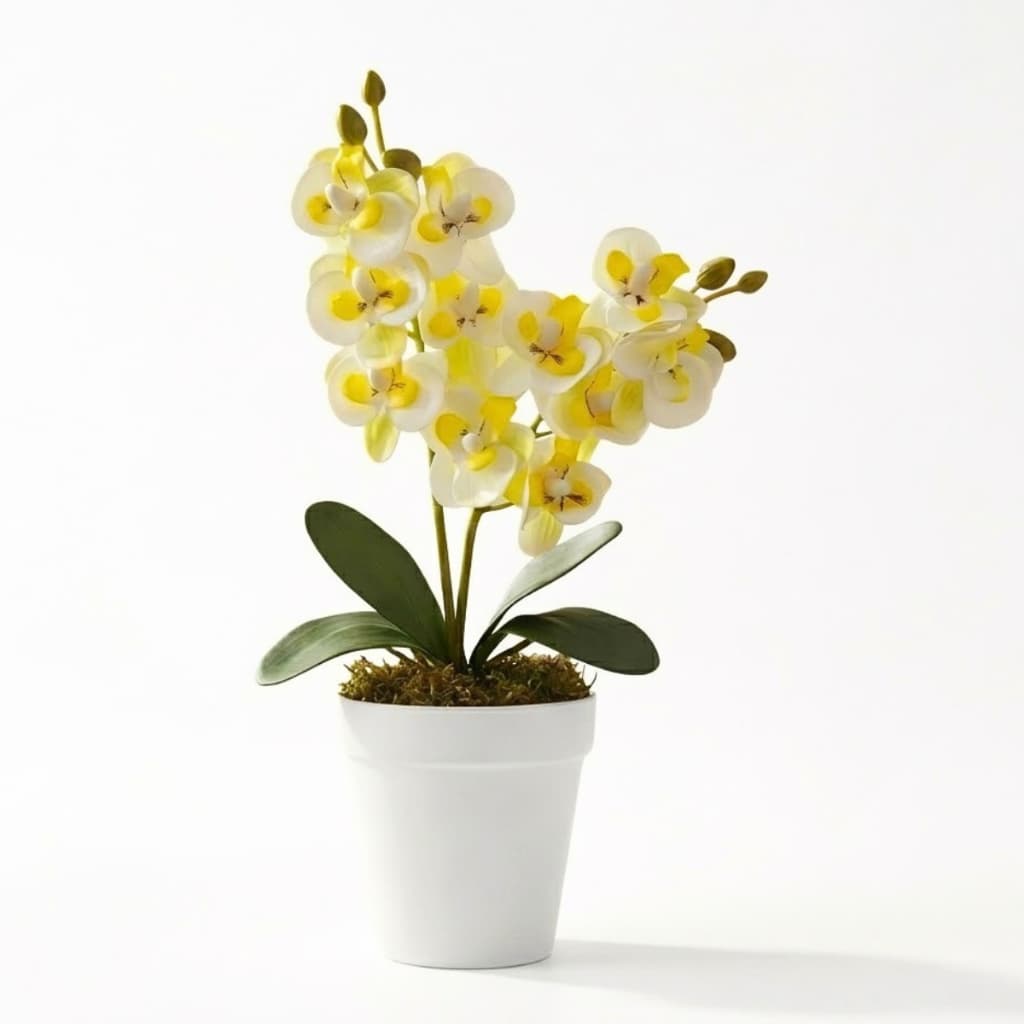 Arranjo de Orquídea Decorativa No Vaso Branco