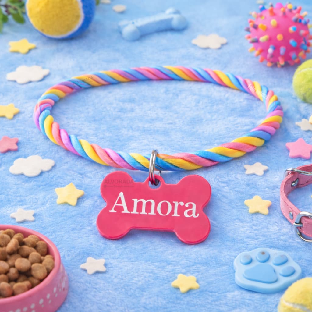 Coleira Pet Cachorro Pequeno Delicada com Nome Personalizado J3