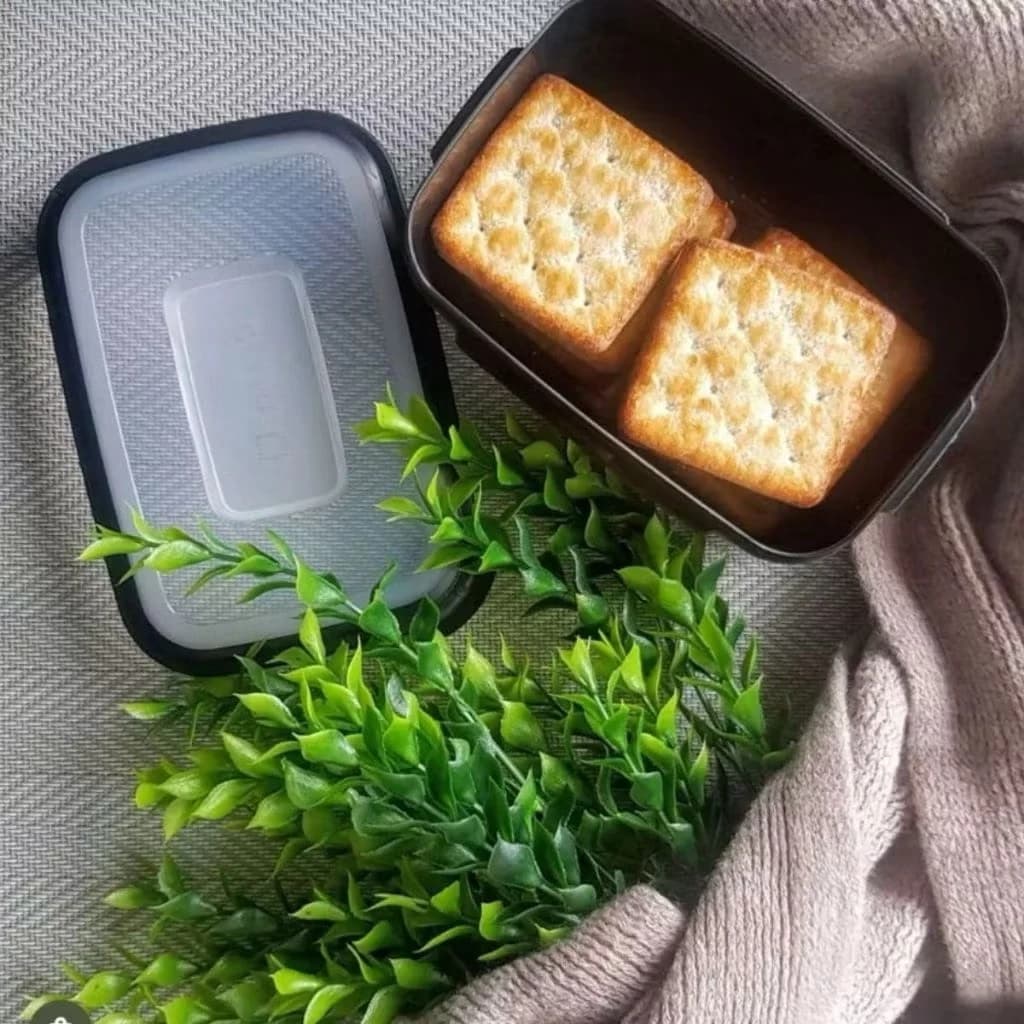 Kit com 5 Potes Plásticos 500ml Premium BPA LIVRE- Congelar, Microondas e Lava Louças