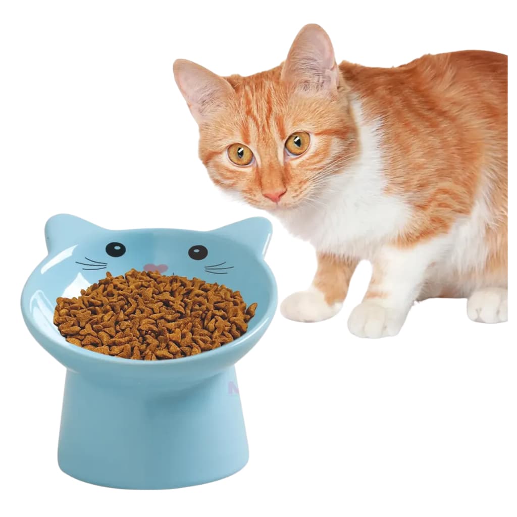 Comedouro De Gatos Em Cerâmica Ergonômico Elevado Pets Azul