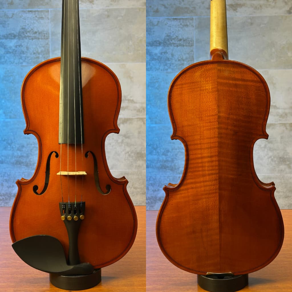 Violino Di Pietro Scolaro SVG 101 4/4 para iniciantes ajustado por Luthier pronto para tocar