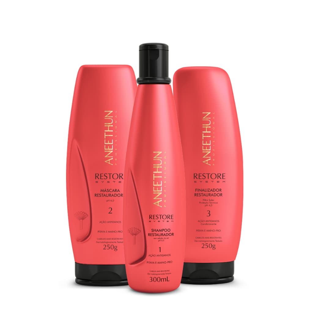 Kit Aneethun Restore System Recuperação Capilar Antidanos Shampoo Máscara Finalizador 3 Produtos + Brinde