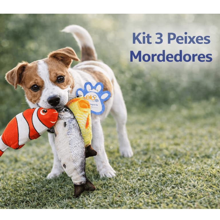 Kit 3 Peixes Mordedores de Pelúcia Para Cachorro e Gato Interação e Brinquedo Anti Estresse Sortido
