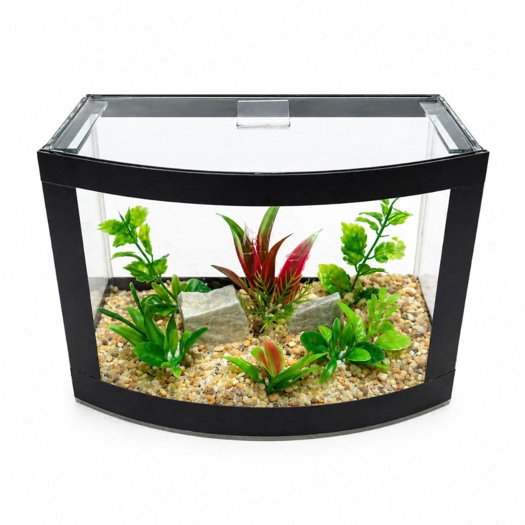 Aquário Para Betta 2,1L Completo Curvo Decorado Vidro Premium Enfeite Peixes Ornamental