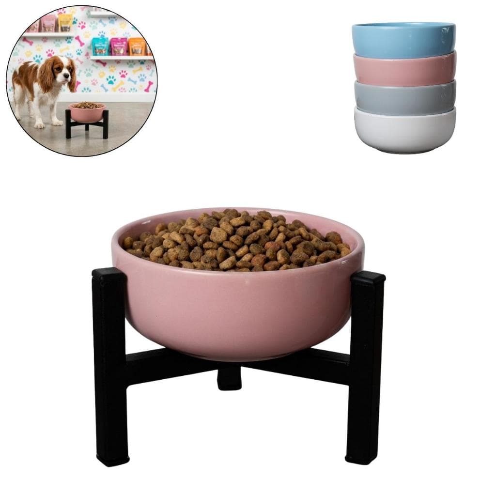 Comedouro Elevado em Cerâmica 650ml Design Moderno Antiderrapante Ideal para Cães e Gatos
