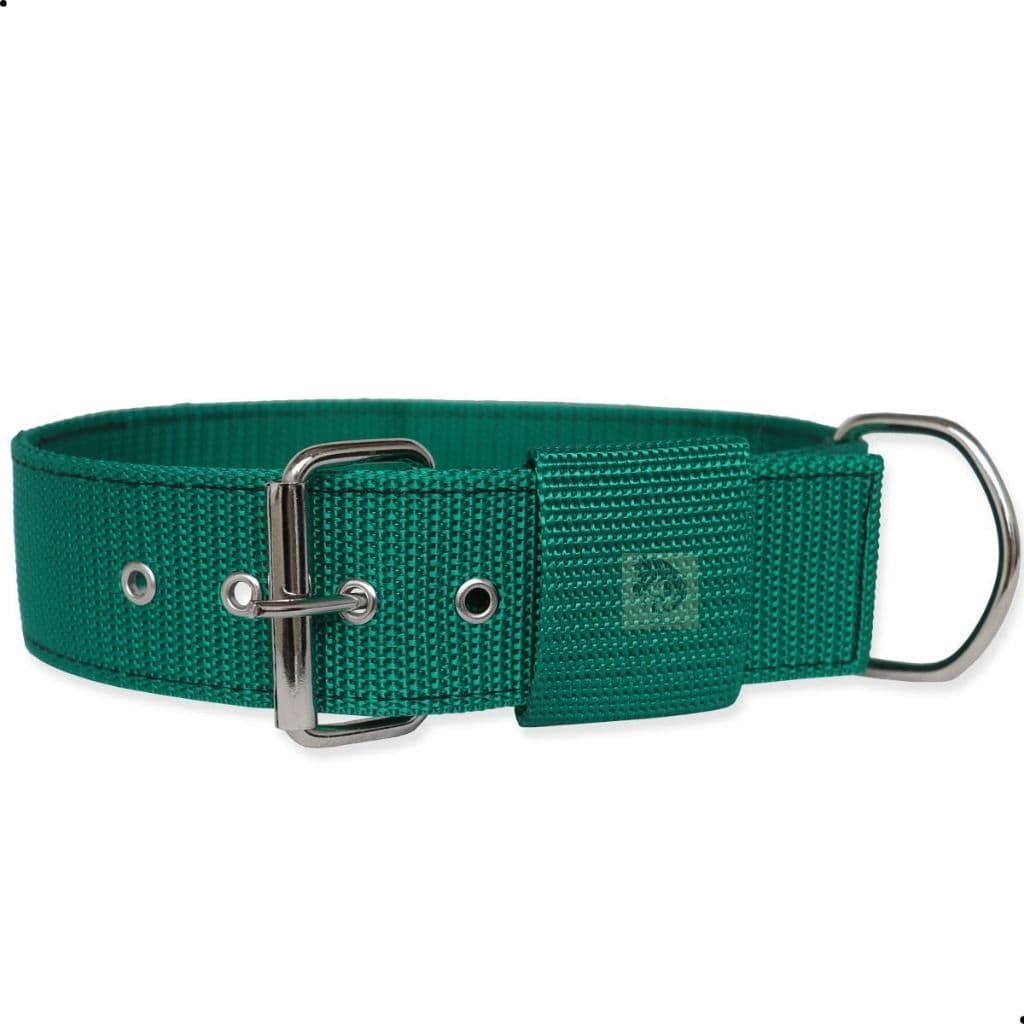 Coleira Para Cachorros Pastor Pitbull Rottweiller Reforçada De Nylon Com Regulagem Oferta Imperdível