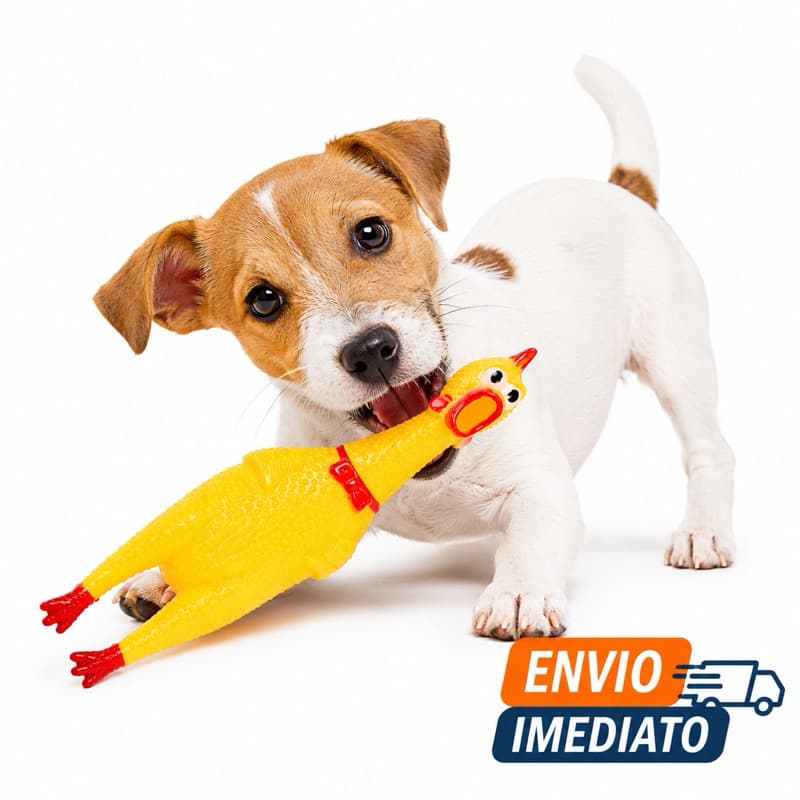 Brinquedo Mordedor Pet Galinha Borracha Para Cães Limpa Dentes Interativo
