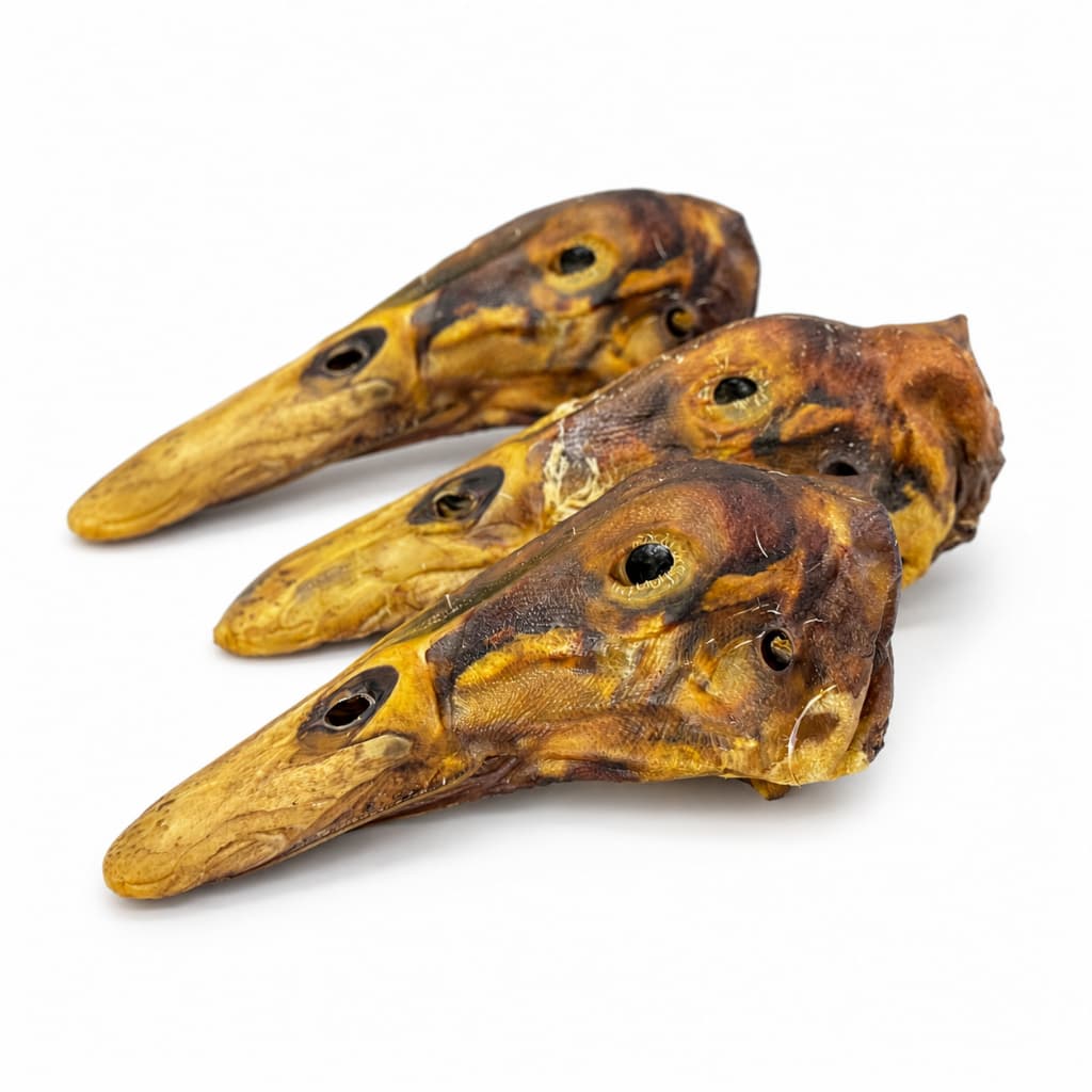 Cabeça de Pato Desidratada 3 uni Petisco Natural para Cães | Lecker Petiscos