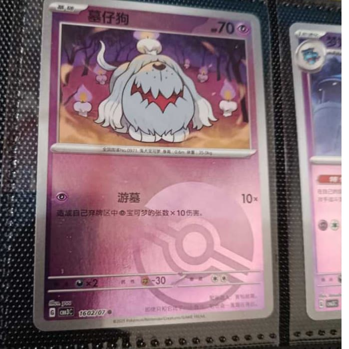 Carta Pokémon TCG Original Colecionável + Brinde