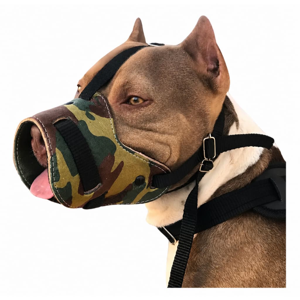 Focinheira para Cachorros Cães Médio e Grande Porte Banho Tosa Passeio Fucinheira pitbull rotweiller