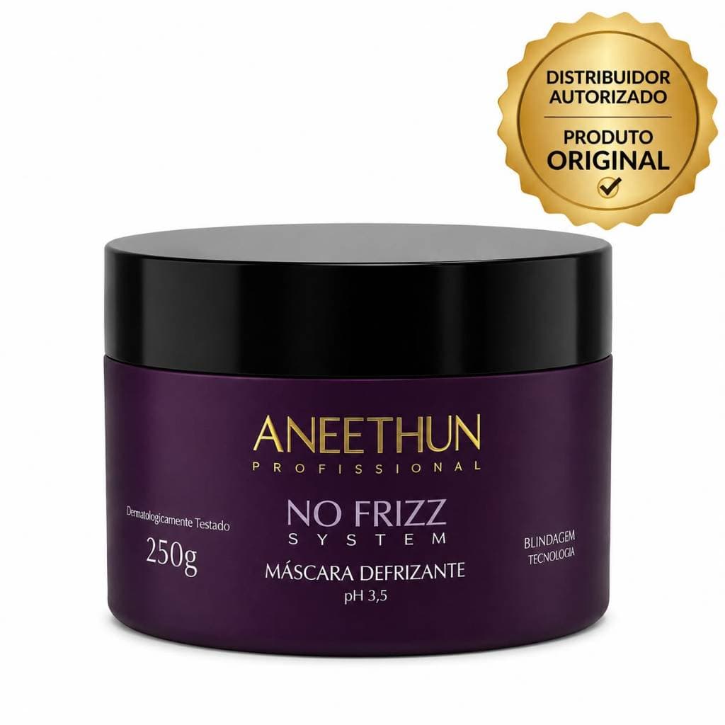 Máscara Hidratante Defrizante No Frizz System 250g Aneethun Profissional