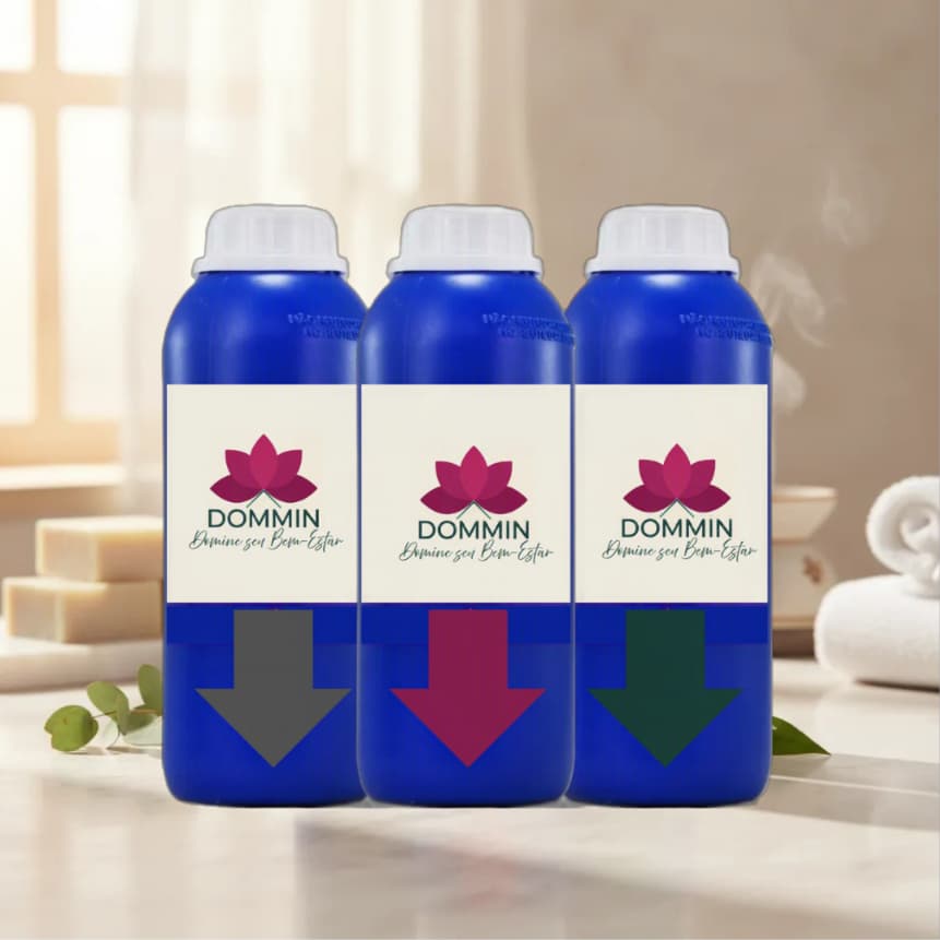 ESSÊNCIA CONCENTRADA 500ml 1 Litro | Sabonete Umidificador Difusor Aromatizador Lavanda Bambu Talco