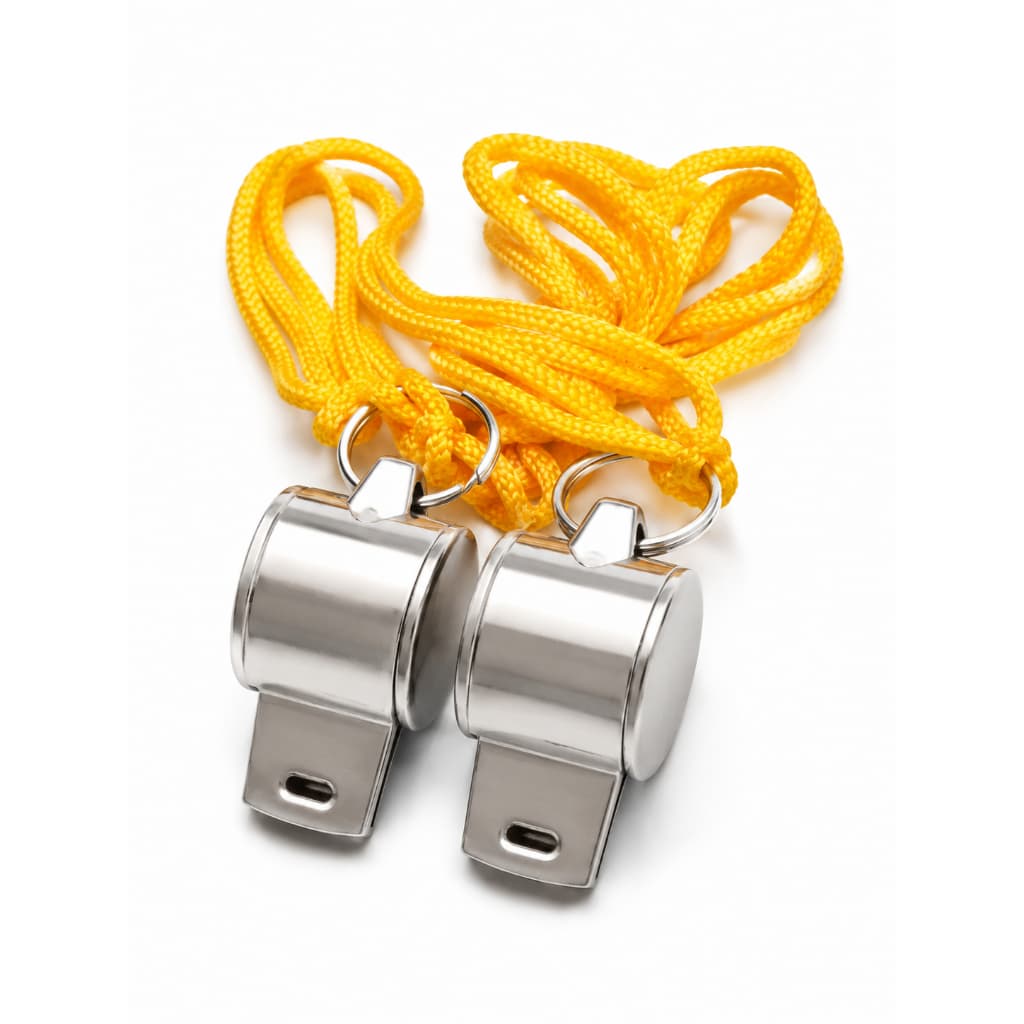 Apito Profissional Metal Com Cordão Para Arbitragem Esportes Emergência Camping Treino Escola Alta Potência Inox