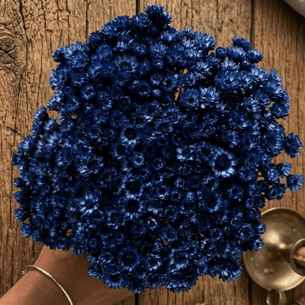 Flor Sempre Viva Azul Escuro Desidratada Buquê Aprox 200 Flores Decoração Arranjos Mesa Posta