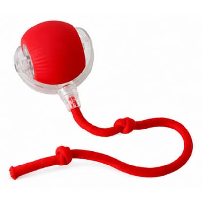 Bola Inteligente Pet LED Automática Recarregável USB Cães Gatos