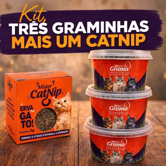 Mister Grama Kit 3 Graminhas para Gatos + 1 Catnip Mister, Grama Natural para Gato, Erva do Gato