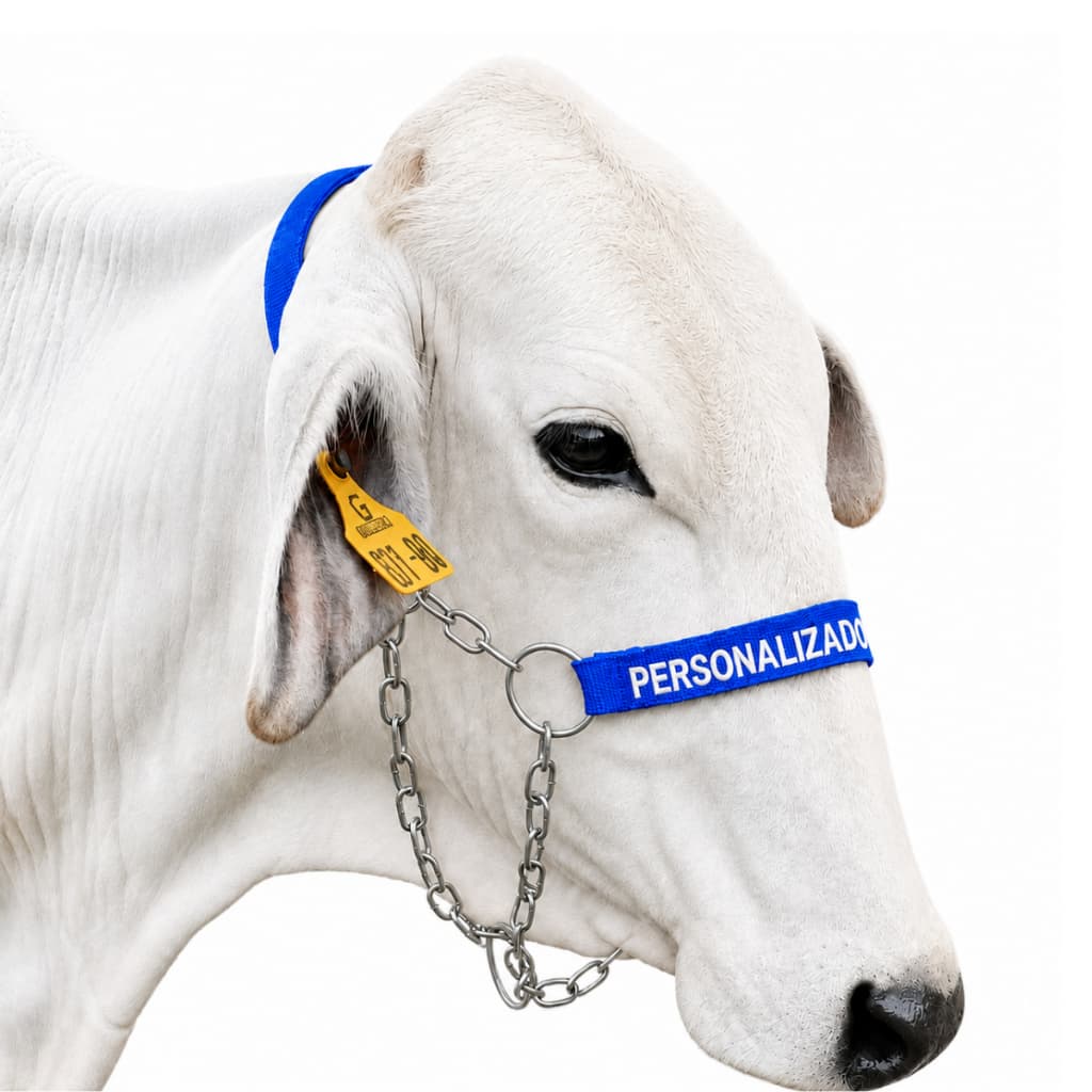 Cabresto Personalizado De Corrente Para Vacas-BOI