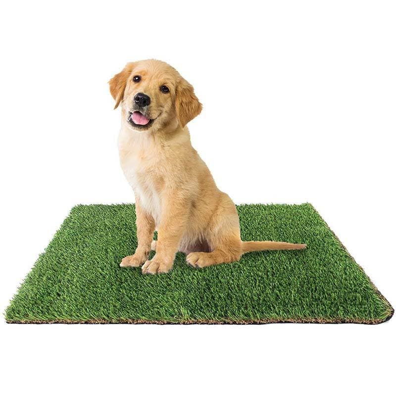Grama Sintética Pet 25mm para Cachorro e Gato, Tapete de Grama Artificial Impermeável Jardim e Varanda 0,5x6,5-25M
