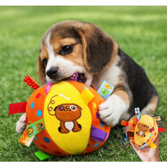 Mordedor Interativo para Cachorros – Bola Sensorial Colorida