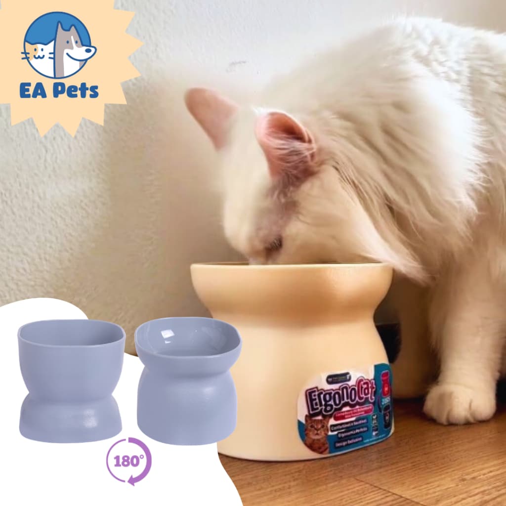 Comedouro Alto E Raso Ou Bebedouro Elevado Da Pet Games Ergonocat Para Gato Resistente Saudável