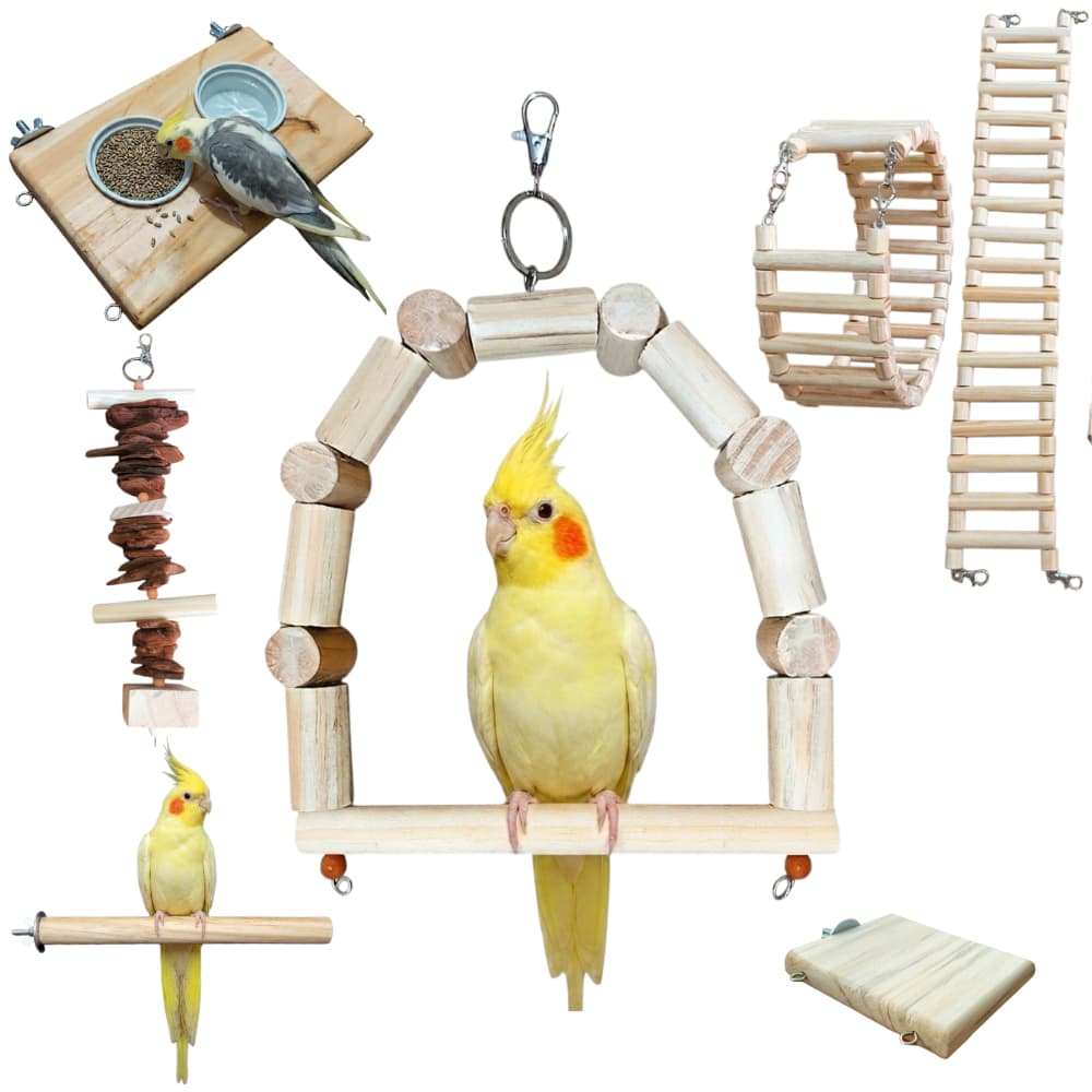 Kit Completo Brinquedos Gaiola/Escada/Comedouro/Plataforma/Poleiro/Balanço/Aves/Calopsita/Canário/Agapornis/Periquito